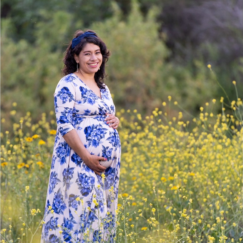 Pinkblush maternity dress